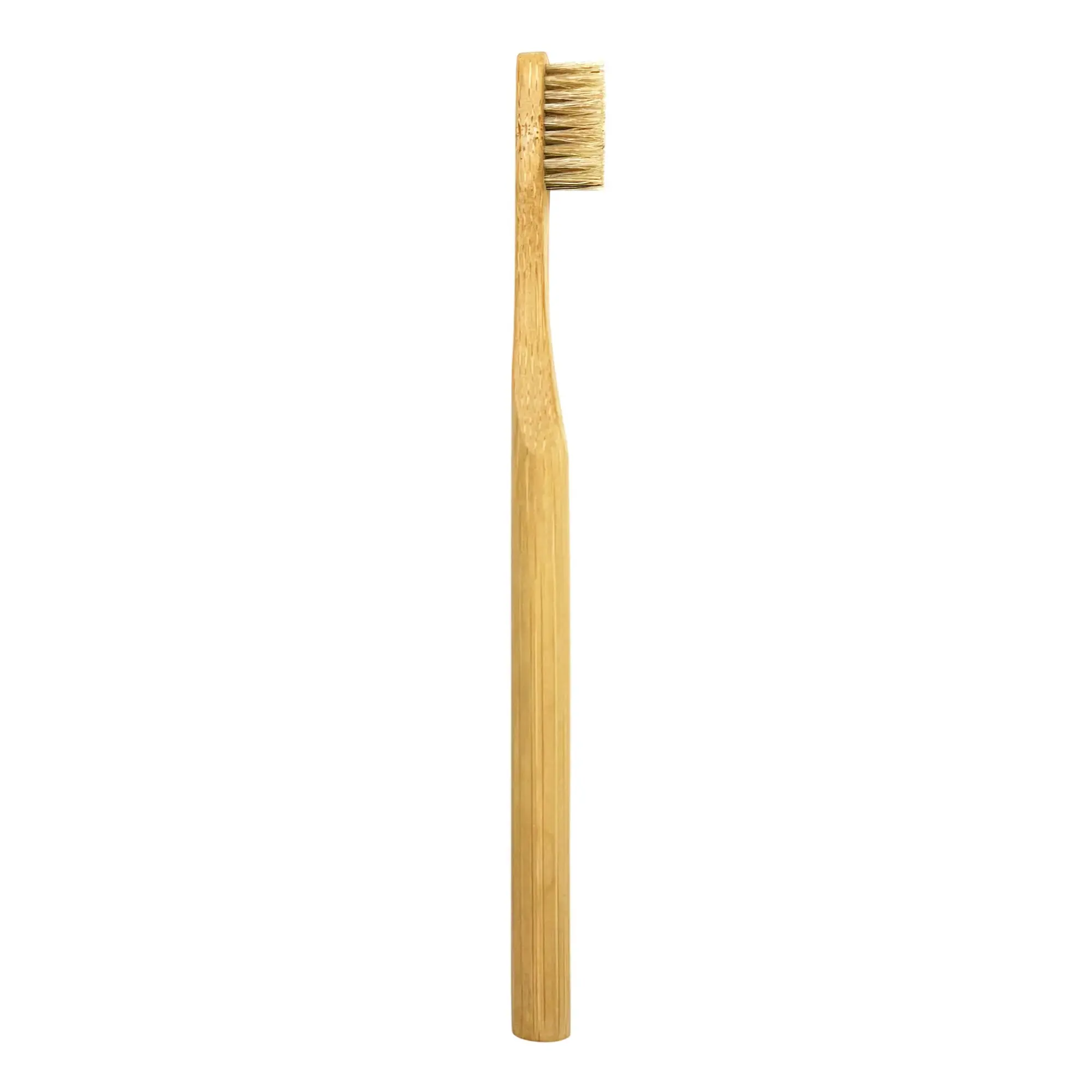 Oral Care Bundle - Image 10